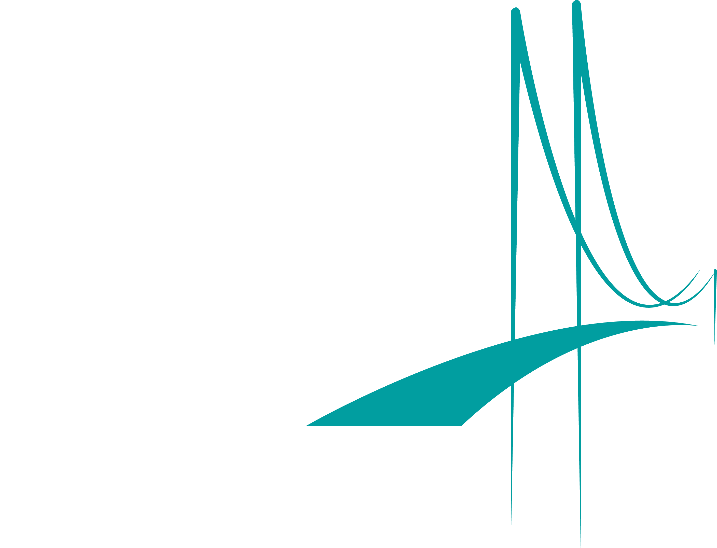 SHINE PORTAXE